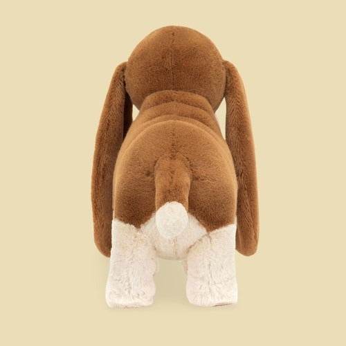 randall-basset-hound