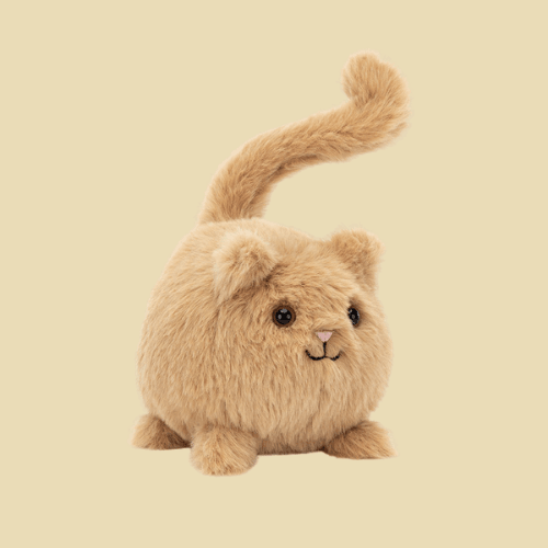 kitten-caboodle-ginger