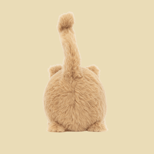 kitten-caboodle-ginger