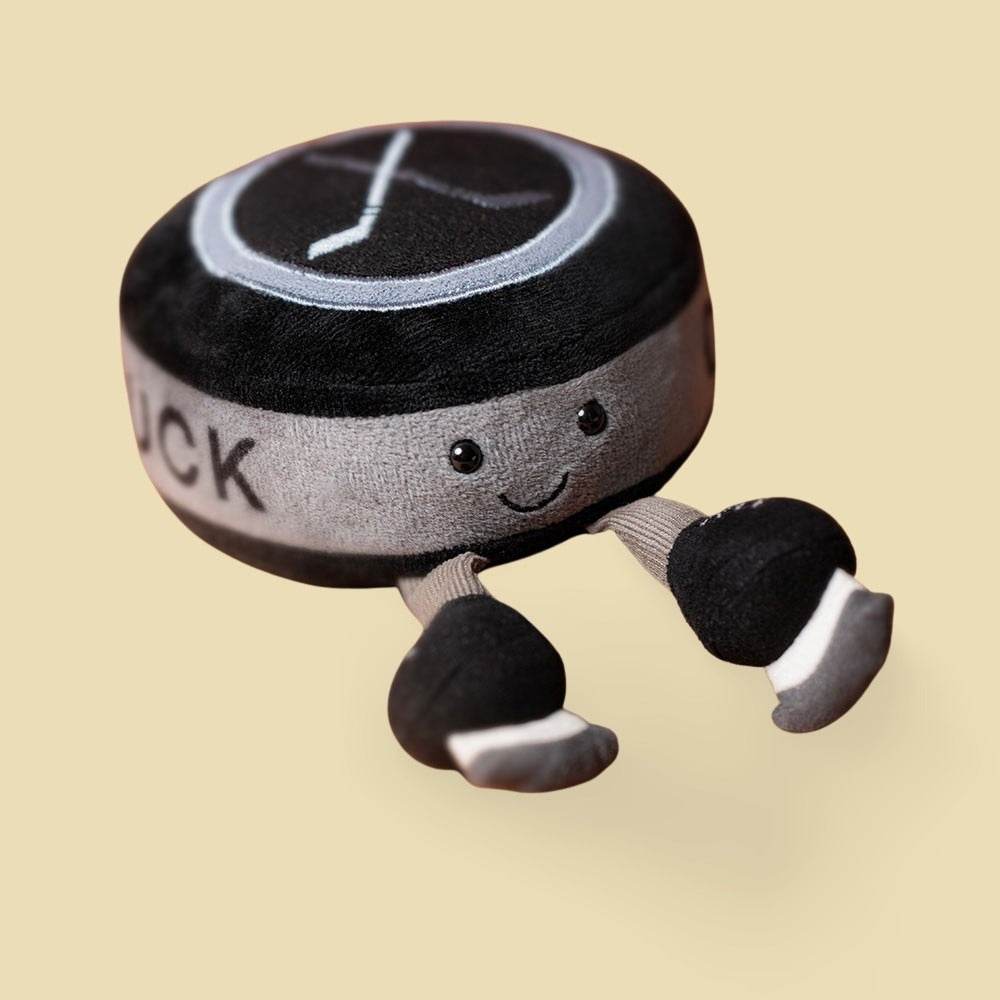 amuseables-sports-ice-hockey-puck