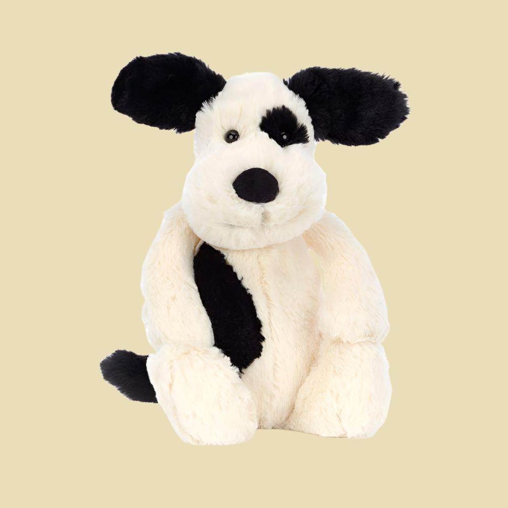 bashful-black-cream-puppy