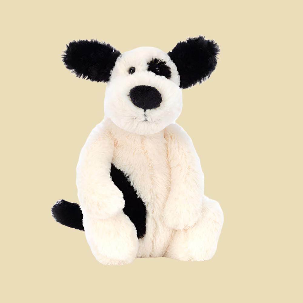 bashful-black-cream-puppy