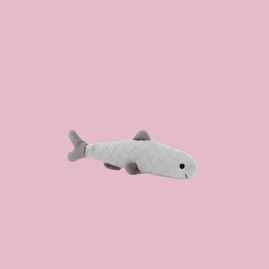 sensational-seafood-sardine