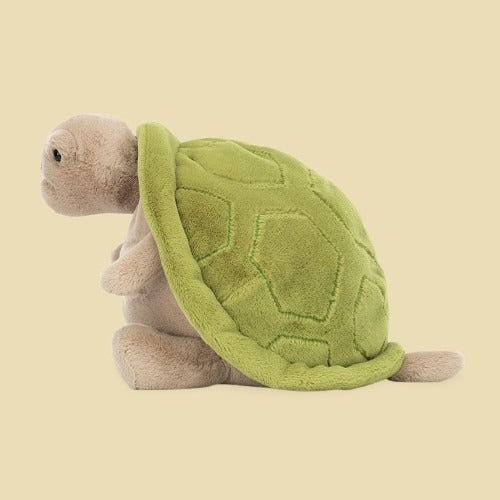 Timmy Turtle