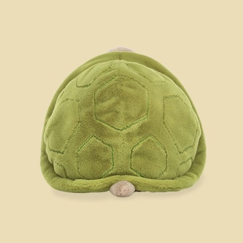 Timmy Turtle